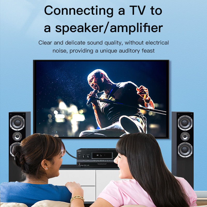 Кабель CHOSEAL RCA, цифровой к – обзор и цена Home Cinema Amplifier